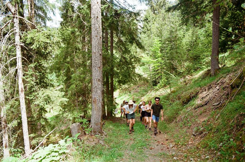 People walking up a wide alpine track surrounded by trees