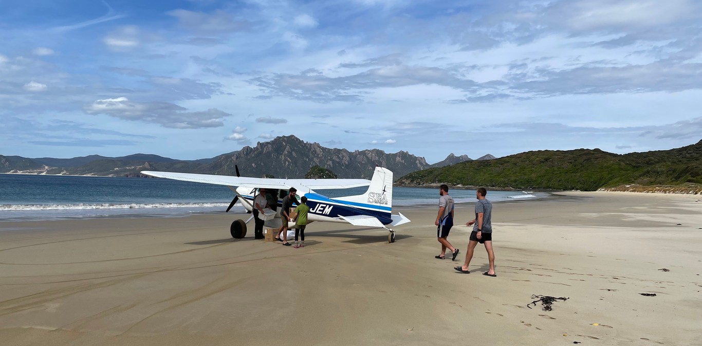 A plane on the beach with some people carrying boxes around