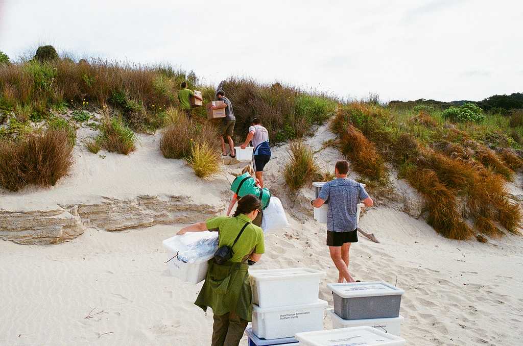 A chain of carrying fish bins of food and supplies from a beach up into a sand dune