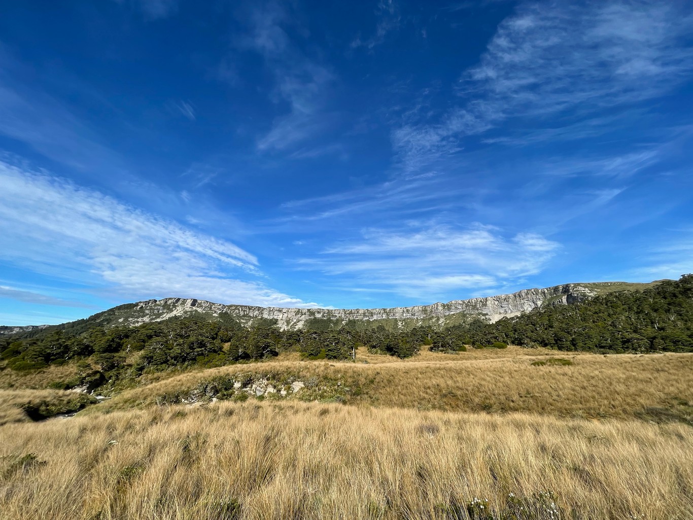 A rocky cliff on the edge of a plateau, framed by tussocks and blue sky