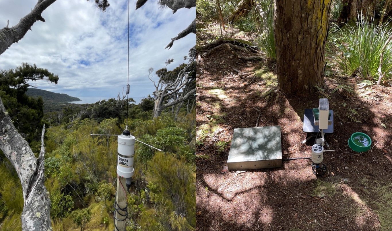 A collage of an electronic device in a plastic tube with an aerial on a post, and a set of scales set up on the ground next to a tree
